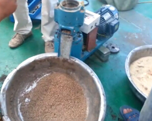 (實拍)秸稈飼料顆粒機視頻